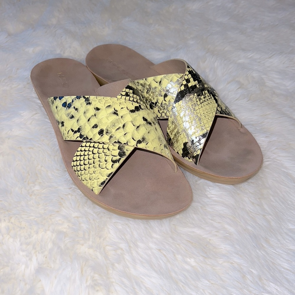 FashionNova Slides